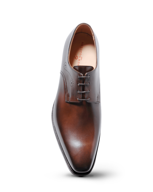 Molland dark brown